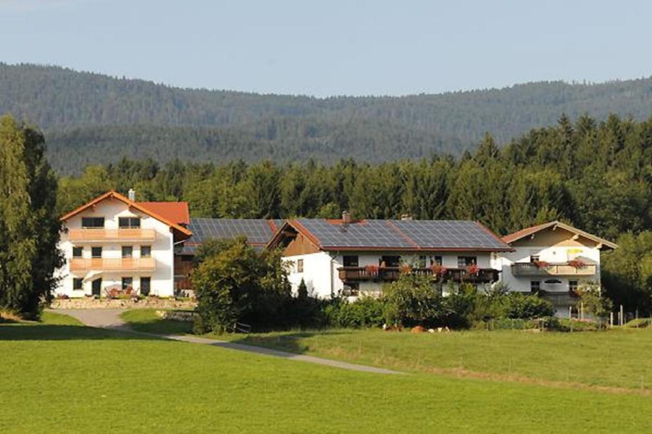 Exenbacher Hof - Pension Arnbruck Exterior photo